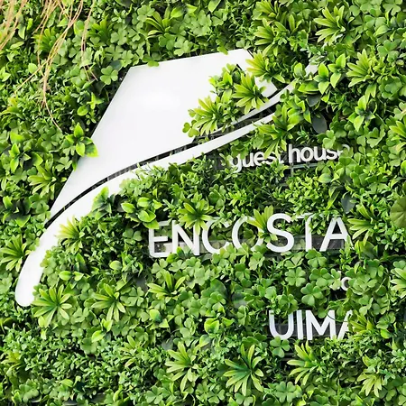 Encosta Do Uima -