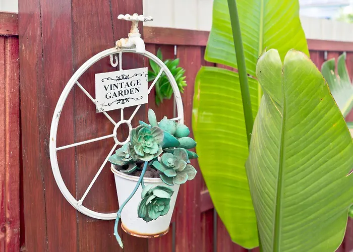 Encosta Do Uima - Appartement Caldas de Sao Jorge